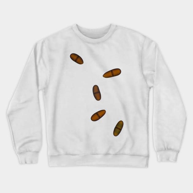 Airborne fungal spores (ascospores) under the microscope Crewneck Sweatshirt by SDym Photography